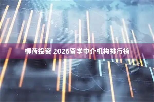 柳荷投资 2026留学中介机构排行榜